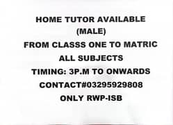 Home and online tutoring