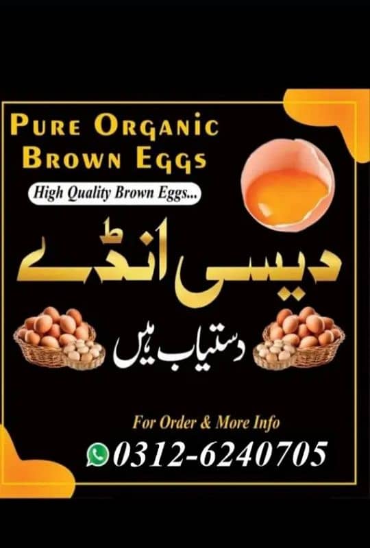 Fertile Eggs for sale 0