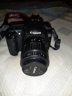 Canon 20D DSLR Camera