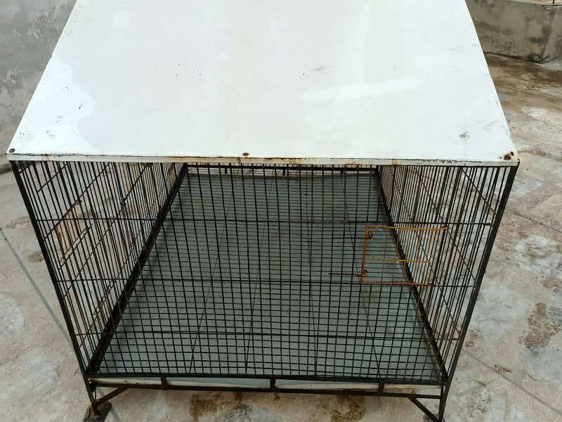 cage for sale 1