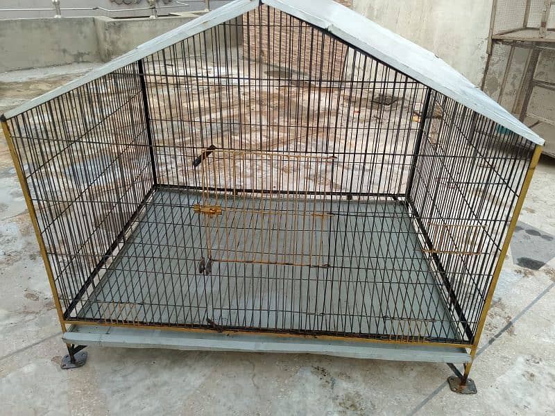 cage for sale 4