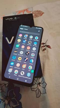 Vivo