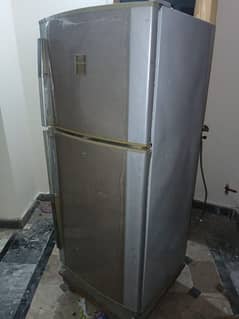 fridge