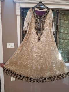 Mexi For Walima For Sale and On Rent Available