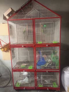 parrots cage