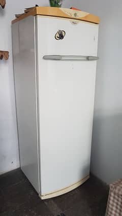 standing freezer