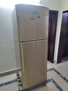 Haier Fridge