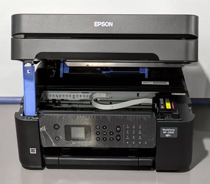 Epson Fresh import Stock available 12