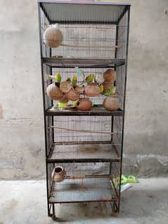 Cage and love birds bajri