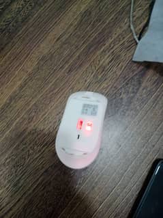 mouse