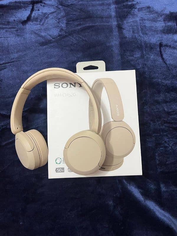 Sony Wh Ch520 0