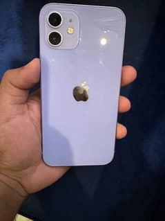 iPhone 12 Non PTA [64GB]