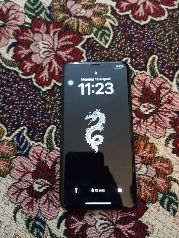 xs max 256 non pta FU 3