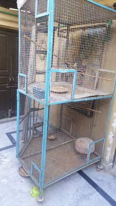 parrot cage