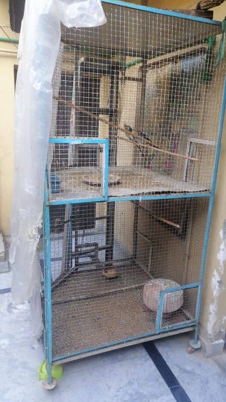 parrot cage 1