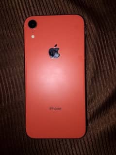 iPhone XR