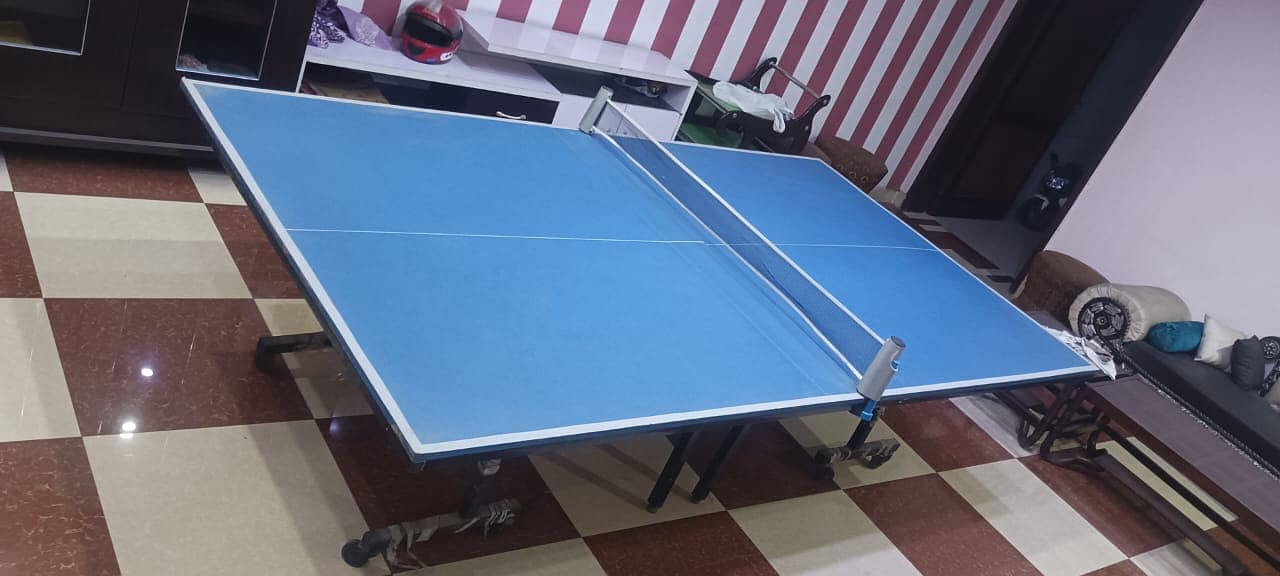 Table Tennis table 0