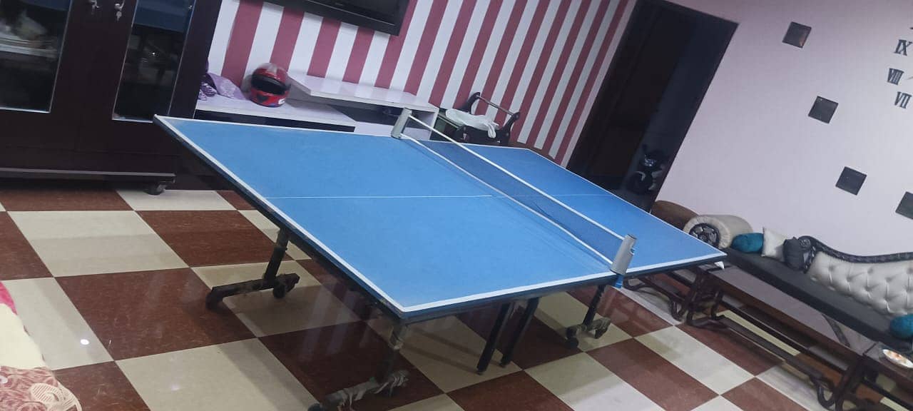 Table Tennis table 1