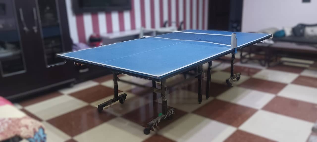 Table Tennis table 2