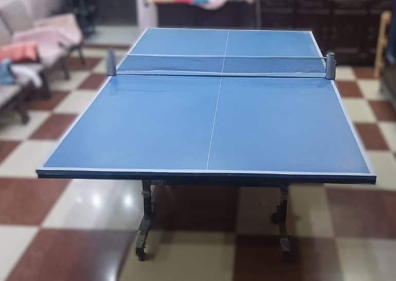 Table Tennis table 3