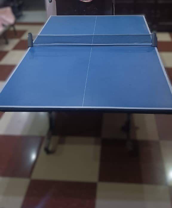 Table Tennis table 4