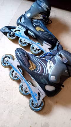 Hy Skate branded inline skating shoes. Read Complete Ad