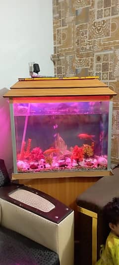 Fish Aqurium for sale new condition 10/9