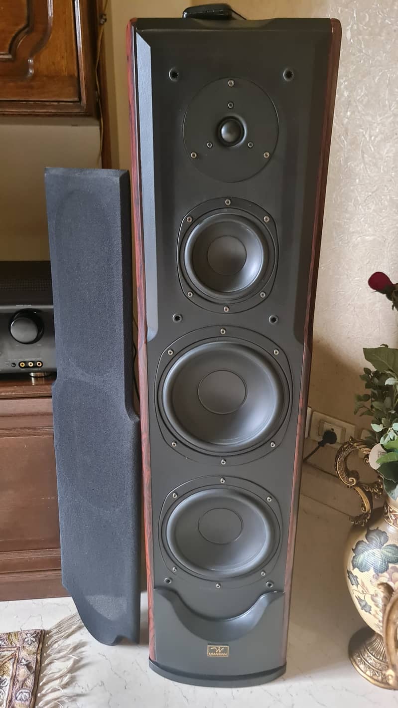 Sherwood Amplifier - Qianxian 2 Floor Standing and 1 Center Speaker 2