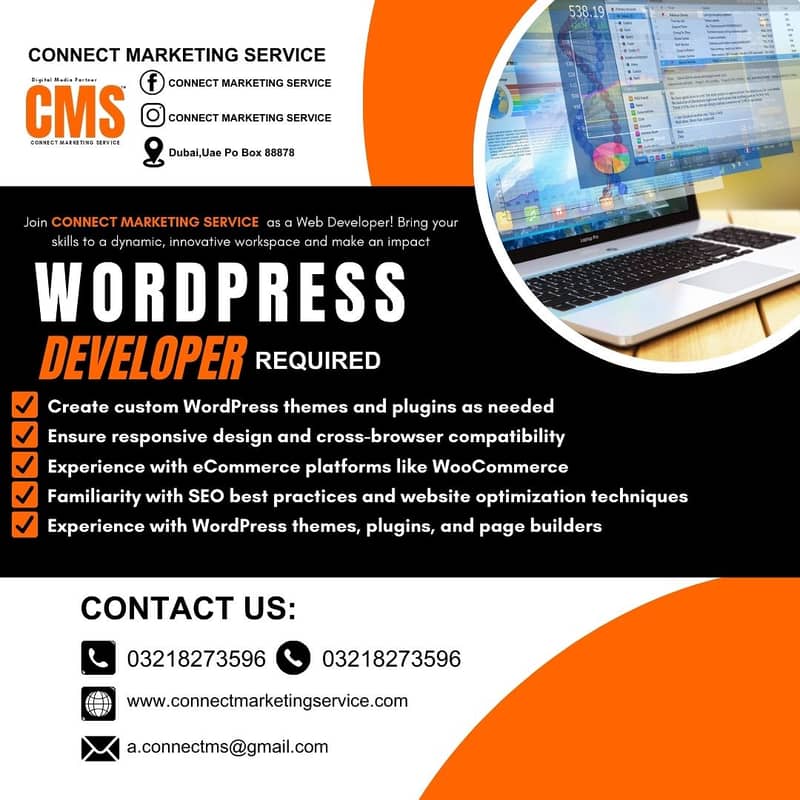 WordPress Developer Required 0