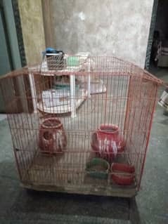 bird's cage, parrot cage, parrot home, birds house