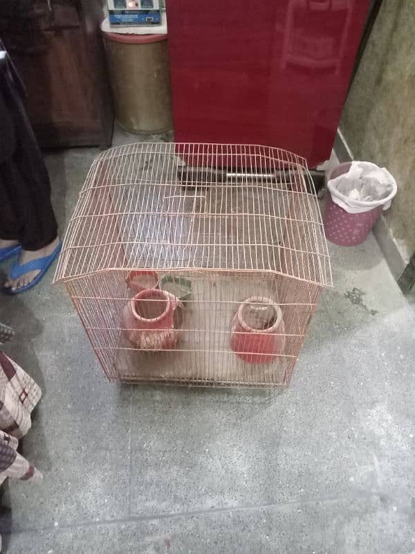 bird's cage, parrot cage, parrot home, birds house 2