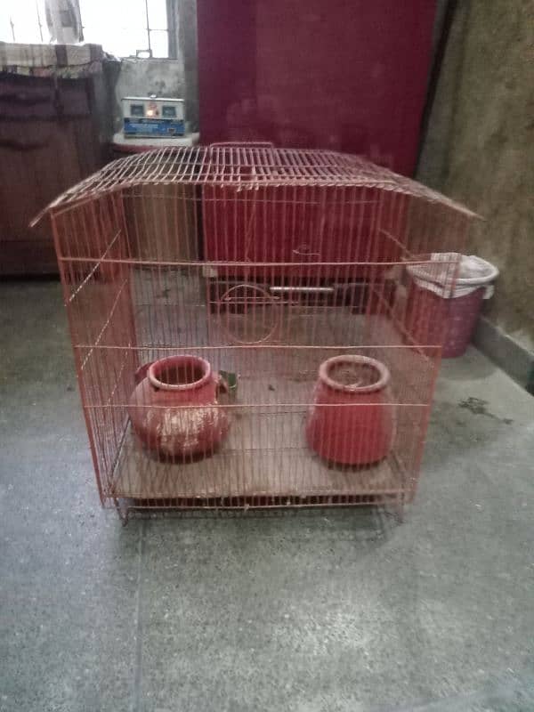 bird's cage, parrot cage, parrot home, birds house 3