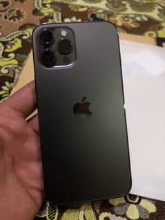 Iphone 12 proo mex