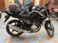 Yamaha YBR 125 Black 2022