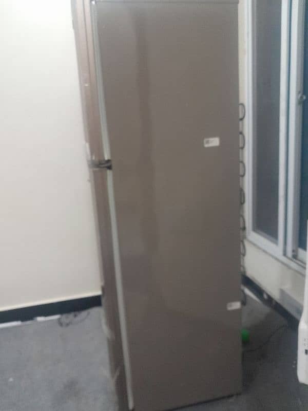 Pel new condition Frige for sale LIFE campani 2