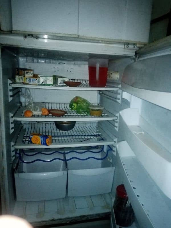 pel refrigerator 1