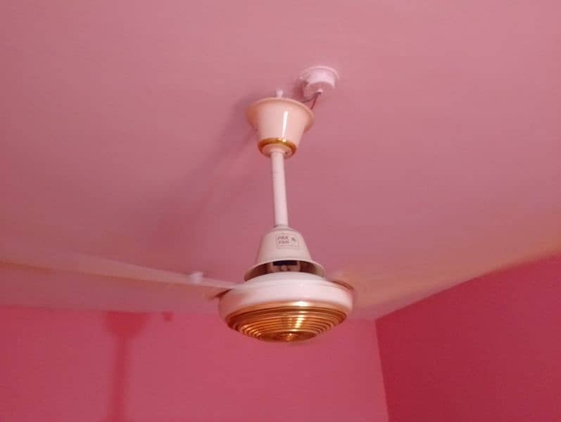 pak fan fancy ac only 2