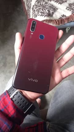 Vivo