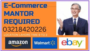 NEED E COMMERCE MANTOR EXPERT LEVAL IN LAHORE