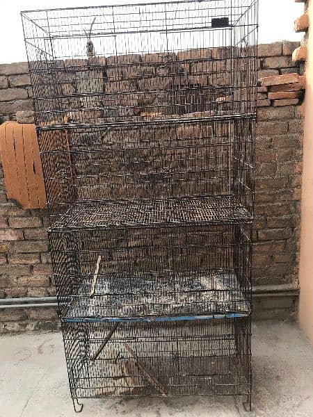 cage for sale 3