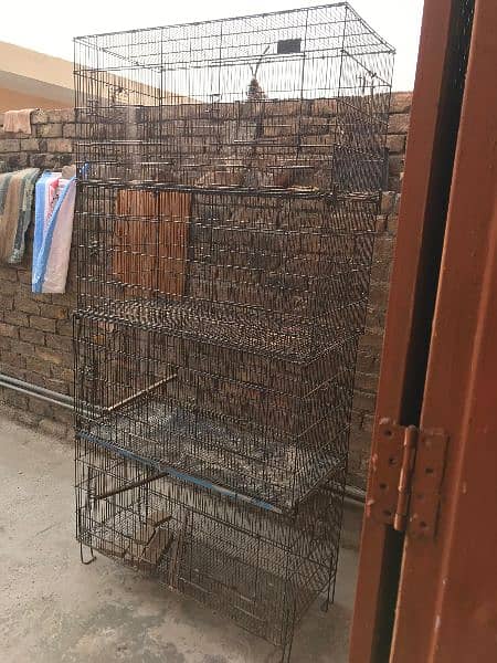 cage for sale 5