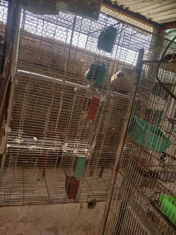 bird's heavy  w8 cage price different 4