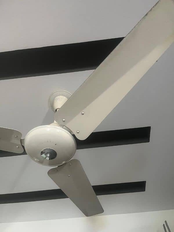 8 fans for sale 2