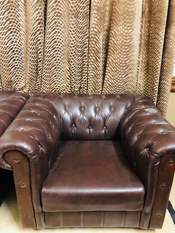 Leather Sofa (Fully Molty Foam Stuffed) 2