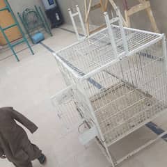 cage Grey parrot and pahari parrot,s big Cage 0