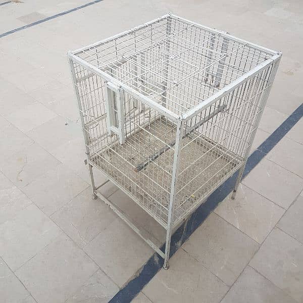 cage Grey parrot and pahari parrot,s big Cage 4