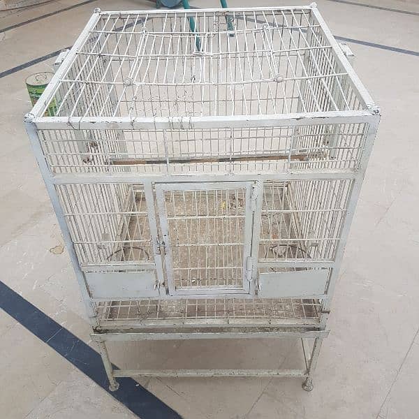 cage Grey parrot and pahari parrot,s big Cage 12