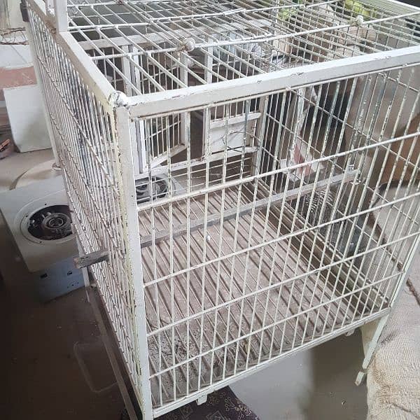 cage Grey parrot and pahari parrot,s big Cage 15