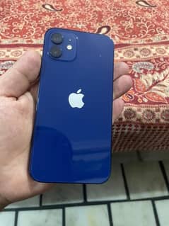 Iphone 12 pta approved