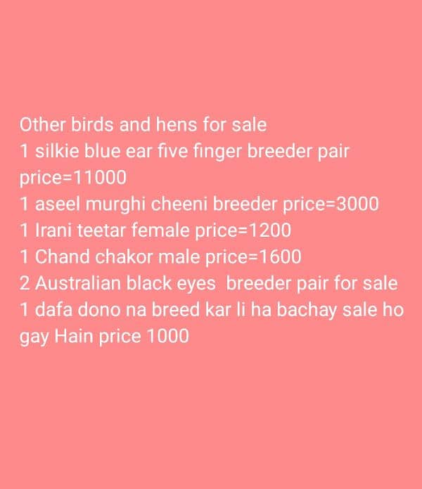 some birds and hens for sale 0